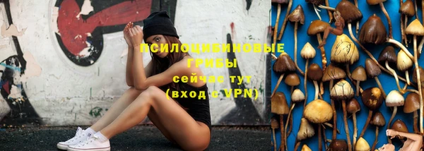 дурь Белокуриха