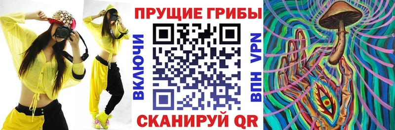 Псилоцибиновые грибы мухоморы  Шенкурск 