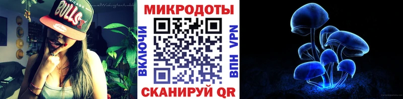 Псилоцибиновые грибы Cubensis Шенкурск