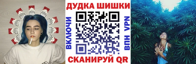 Каннабис планчик  купить закладку  Шенкурск 